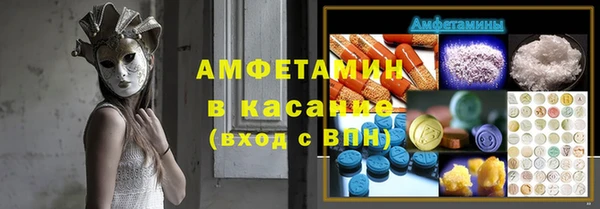 сатива Карпинск