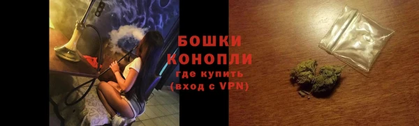 сатива Карпинск