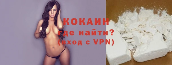 сатива Карпинск