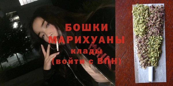 сатива Карпинск