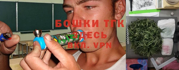 сатива Карпинск