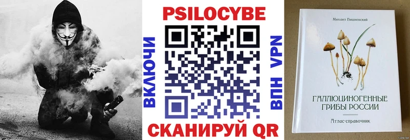 Купить закладки Западная Двина Псилоцибиновые грибы Psilocybine cubensis